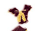 Diploma